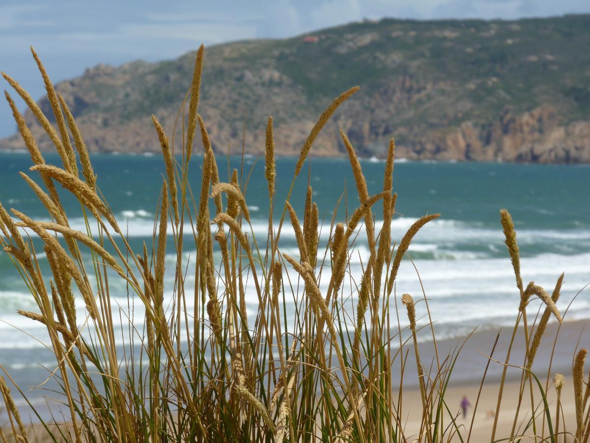 Quinta Do Cabo Guesthouse Azoia  外观 照片