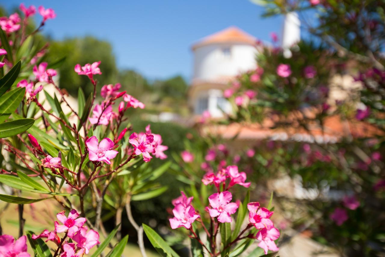 Quinta Do Cabo Guesthouse Azoia  外观 照片